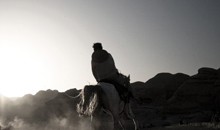 电话轰炸机网页版